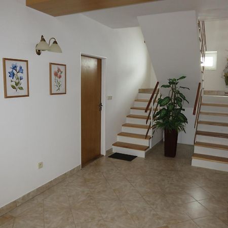 Hotel Selsky Dvur 1 à Police nad Metují Extérieur photo